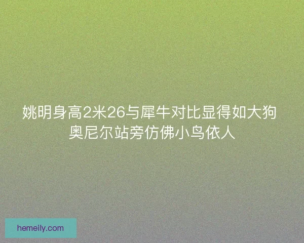姚明身高2米26与犀牛对比显得如大狗 奥尼尔站旁仿佛小鸟依人